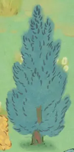 千年柏樹
