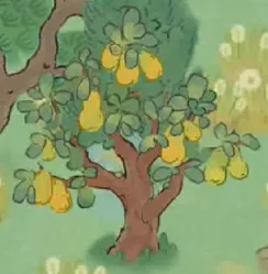 梨子樹