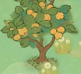 橘子樹
