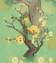 蠟梅樹