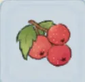 山楂