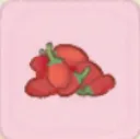 枸杞子
