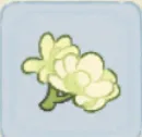 茉莉花