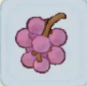 葡萄