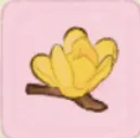 蠟梅