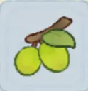 青梅