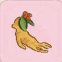 人蔘