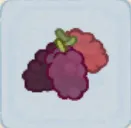 桑葚
