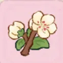 梨花