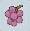 葡萄