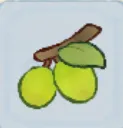 青梅