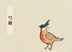 勺雞