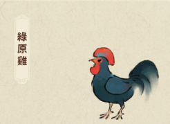 綠原雞