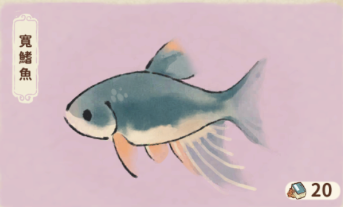 寬鰭魚