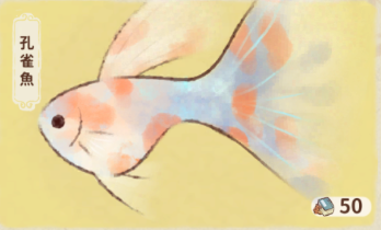 孔雀魚