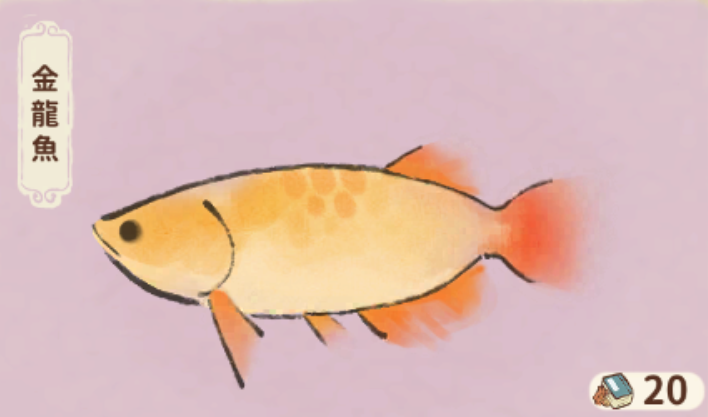 金龍魚