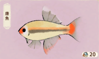唐魚