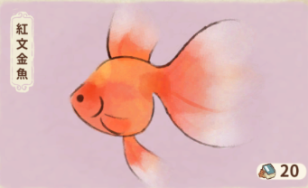 紅文金魚